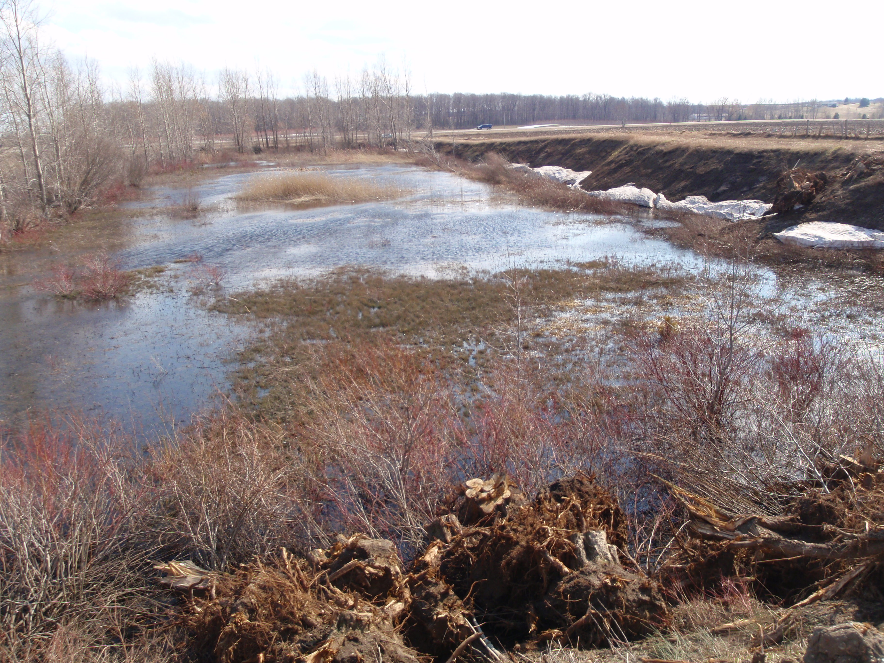 MAAP Partners with Ducks Unlimited Canada