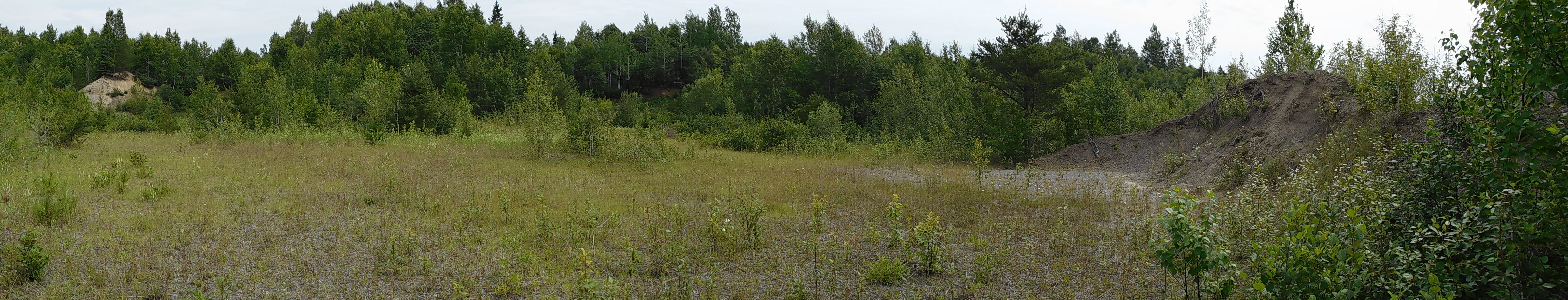 Novel Strategies for Enhancing Biodiversity and Ecosystem Function at Northern Ontario Aggregate Pits