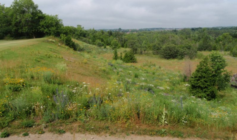 Project 06-15 : Township of Mono, Dufferin County