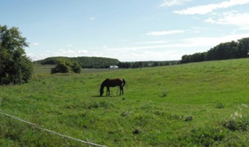 Project 11-07b: McAuslane: Mulmur Township, Dufferin County