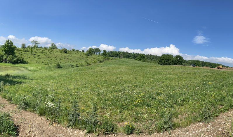 19-02d Township of Osprey, Grey County