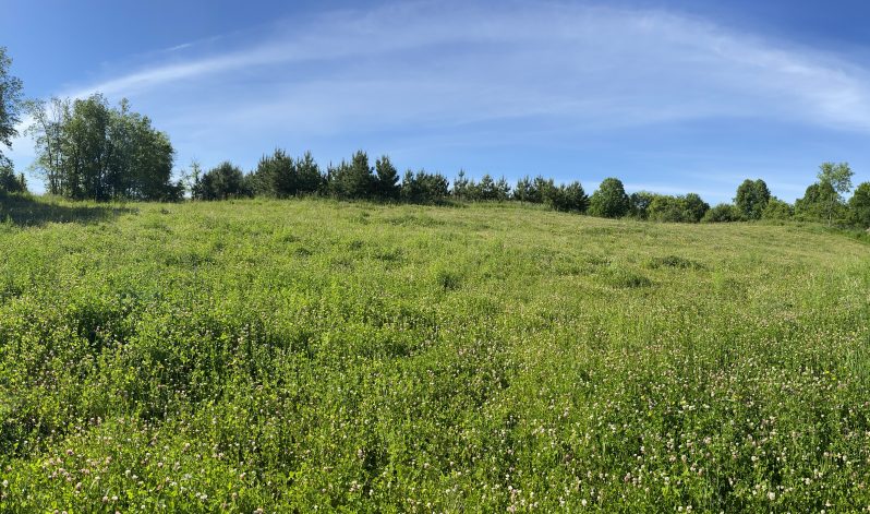 21-02e Township of Hungerford, Hastings County