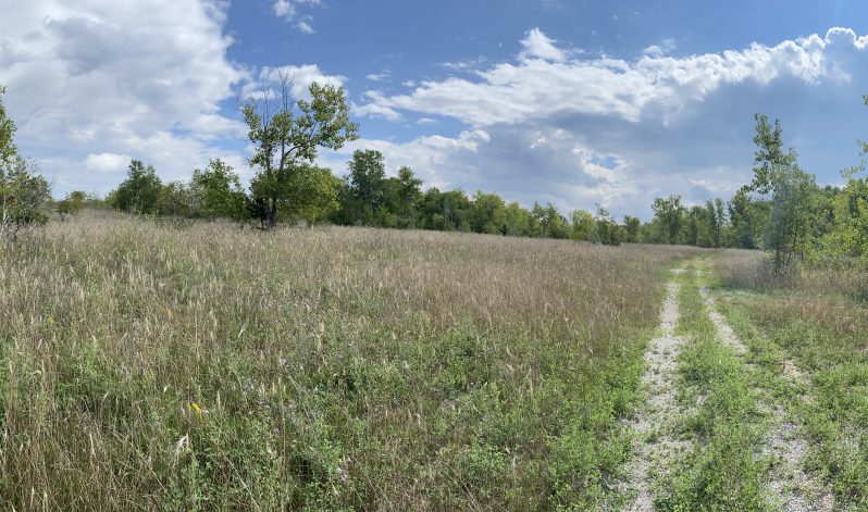 21-03 Township of Hastings, Hastings County