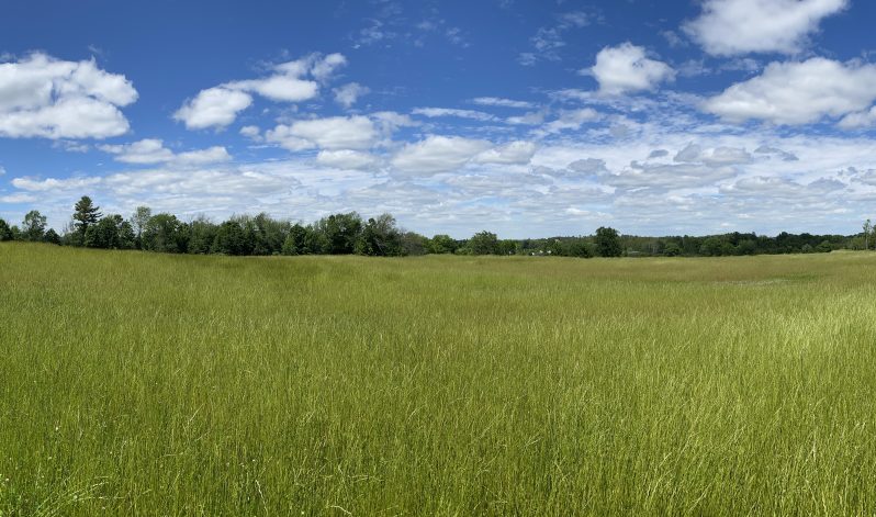 21-05d Township of Asphodel, Peterborough County