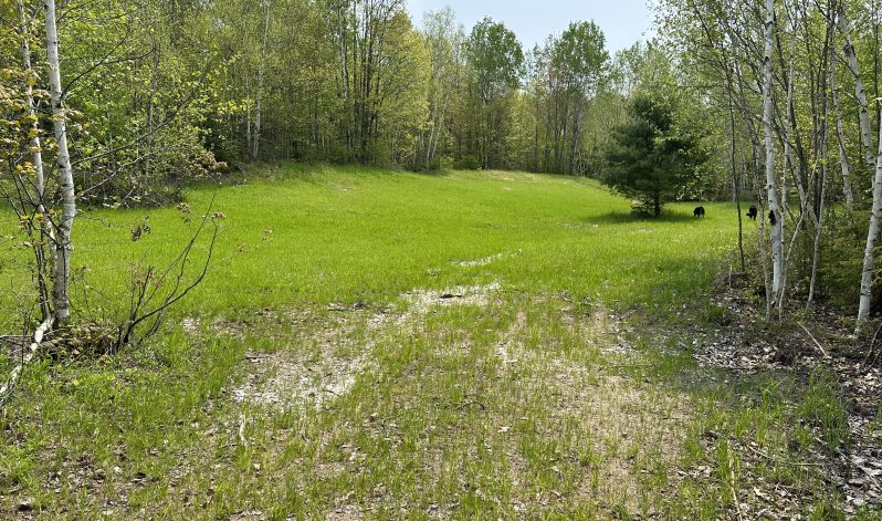 22-04e Township of East Ferris, Nipissing County