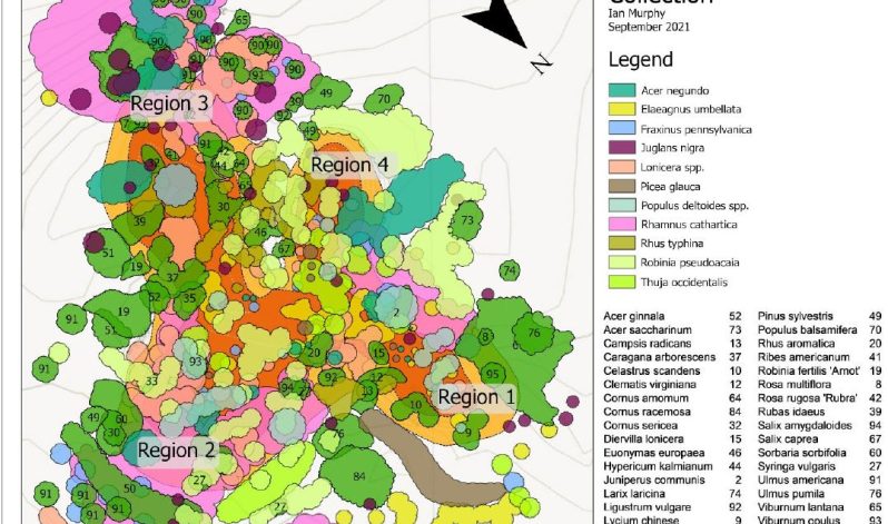 A 40 – Year Research and Demonstration Project, Guelph Arboretum, Winter 2022