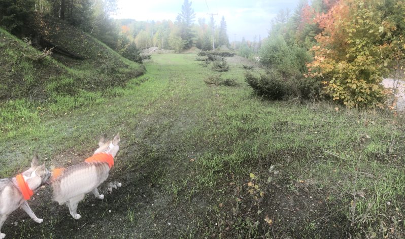 19-06e Township of Darling, Lanark County