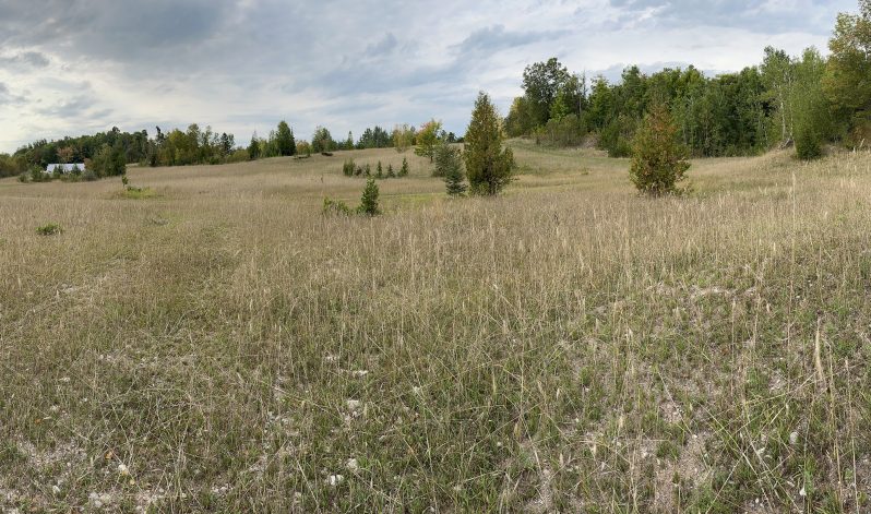 23-03g Township of Allan, Manitoulin Island