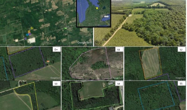 Rapid Ecological Resoration for Aggregate Sites, University of Waterloo, Fall 2021