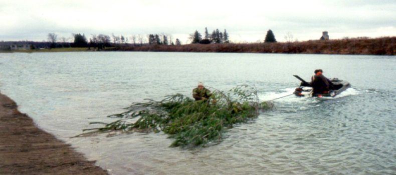 experimental manipulations of aquatic habitat